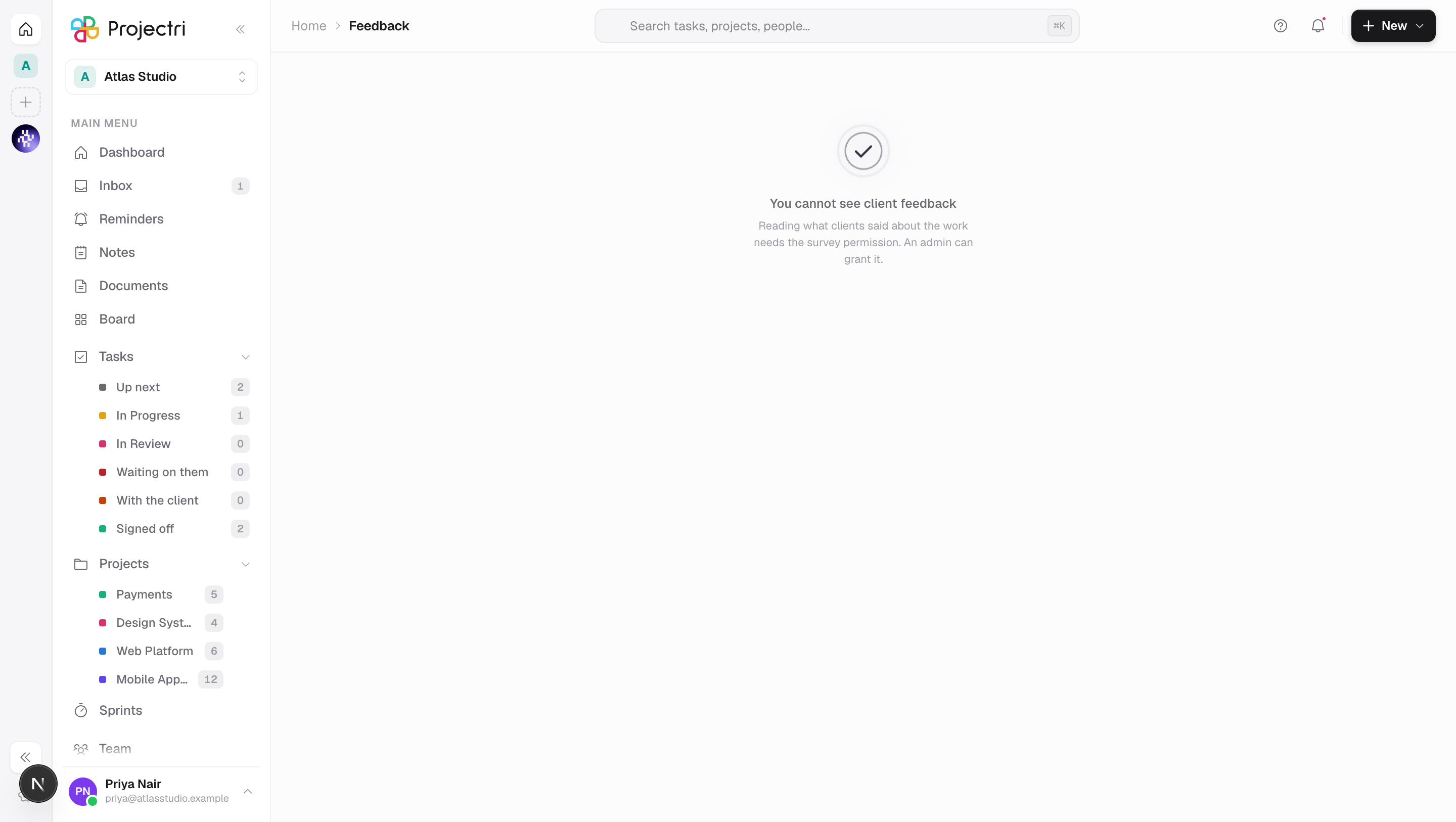 A screenshot of Client feedback in Projectri